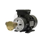 Jabsco Pump 230/400 1440rpm 0,55kW 3f