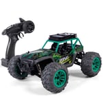 Lecez Remote Control Car, Four-wheel Drive Full-scale High-speed Bigfoot Off-road Vehicle Professional Model Pvc Electric Toy, Orange, Green, Blue, 27×24×15cm (Color : Green)