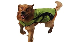 Croci Hiking Manteau de Neige Imperméable pour Chien Vert 75 à 78 cm