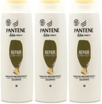 Pantene Shampoo Repair & Protect 500ml | Hair Care | Damage Control | Shine X 3