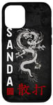 iPhone 12/12 Pro Dragon Sanda Chinese Boxing Case