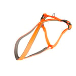 South Harnais PVC 40-50cm/15mm Orange néon