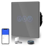 Dimmer Intelligent Alexa Interrupteur 300W Touch Control Wifi Wandinterrupteur Led Kompatibel (Alimentation Neutre Requ ) Avec Alexa/Tuya/Google Home 1 Gang 1 Voie Gris