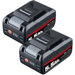 Pdstation - 2Packs 5500Ah Batterie de Rechange pour Einhell X-Change Power Compatible avec Toutes Les Batteries d'outils 18V et Power X-Change Family