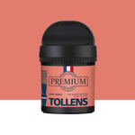 Peinture Tollens premium murs, boiseries et radiateurs rose corail vibrant velours 50ml