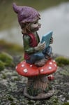 170215  FIGURINE  TROLL AVEC TABLETTE ORDINATEUR SUR CHAMPIGNON  PIXIE ELFE 