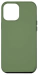 Coque pour iPhone 15 Plus Couleur vert sauge