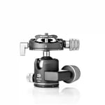 Benro GX25 Low-Profile Dual Panoramic Ball Head With PU56 Plate