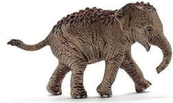 SCHLEICH - Figurine de l'univers des animaux sauvages - Éléphanteau d'Asie - ...