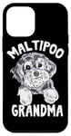 Coque pour iPhone 12 mini Maltipoo Grandma – Caniche maltais – Chien Granny Maltipoo Puppy