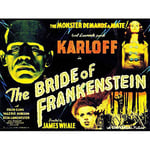 Wee Blue Coo Movie Film Sequel Bride Frankenstein Karloff Whale Horror USA Art Print Poster Wall Decor 12X16 Inch