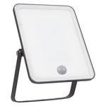 Ledvance - Floodlight Essential Sensor 30W - Fasadbelysning - Svart