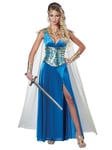 Warrior Queen Medieval Renaissance Viking Womens Costume