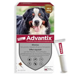 Advantix Très Grand Chien entre 40 et 60 kg – Pipettes pour chien contre 6 parasites – Traitement et protection pour votre chien pendant 4 semaines – 6 x 6,0 ml