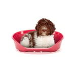 Ferplast - Dog Bed & Cat Bed - Plastic Dog Bed Medium - 100% Recycled Plastic - Dog Bed Washable - Dog Basket - Breathable & Antislip - Siesta Deluxe - 74 x 48 x h 25 CM, L, BORDEAUX