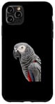 Coque pour iPhone 11 Pro Max Perroquet gris africain