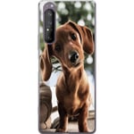 Sony Xperia 1 II Läpinäkyvä Puhelinkotelo Ung Hund