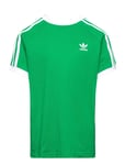 3 Stripes Tee Green Adidas Originals