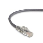 Black box BLACK BOX GIGABASE® 3 CAT5E 350-MHZ STRANDED ETHERNET PATCH CABLE - UNSHIELDED (UTP), CM PVC, LOCKING SNAGLESS BOOT, GRAY, 100-FT. (30.4-M) (C5EPC70-GY-100)