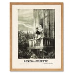 Romeo and Juliet French Advert Theatre Stage Play Shakespeare France Vintage Opera Poster Art Print Framed Poster Wall Decor 12x16 inch