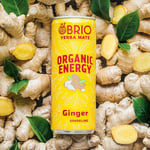 Brio Mate BRIO MATE Organic Energy Drink Ginger 250ml -6 Pack