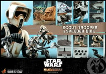 Star Wars Mandalorian Scout Trooper Et Speeder Bike + Grogu 1/6 Hot Toys TMS017