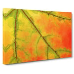 Big Box Art The Leaf of a Sycamore Tree in Abstract Canvas Wall Art Framed Picture Print, 30 x 20 Inch (76 x 50 cm), Orange, Yellow, Orange, Yellow