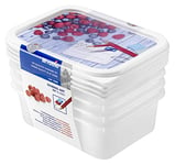 Rotho Lot de 4 bocaux de congélation Domino de 0,5 l avec motif inscriptible sur le couvercle, plastique (PP) sans BPA, blanc, 4 x 0,5 l (15,7 x 11,8 x 5,5 cm)