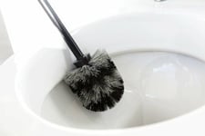 Brabantia Toilet Brush and Holder - Brilliant Steel