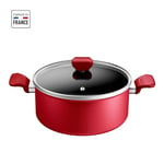 TEFAL Faitout 24 cm, Induction, Revêtement antiadhésif, Couvercle verre, Ergonomique, Fabriqué en France, Daily Expert C2894602