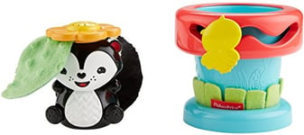 Fisher-Price - DFP91 - Peek 'n Play Flower Pot