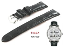 Timex Bracelet de Rechange T2M509 Sl Série Automatique Femme 18mm Cuir Universal