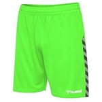 Authentic Kids Poly Shorts Green Gecko - Hummel, størrelse 152 cm