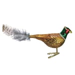 Old World Christmas Ornaments: Bird Watcher Collection Glass Blown Ornaments for Christmas Tree, Pheasant