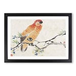 Big Box Art Parrot by Ren Yi Framed Wall Art Picture Print Ready to Hang, Black A2 (62 x 45 cm)