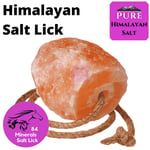 Himalayan salt Lick Horse 2-2.5kg lick Natural cattle  with rope salt Pet Treat