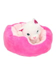 Toi-Toys Plush dog/cat in Basket - Assorted