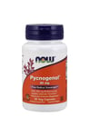 Now Foods - Pycnogenol® 30 mg Veg Capsules - 30 Veg Capsules