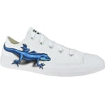 Converse Lizards Chuck Taylor All Star Low Kids Vit 36