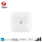 Zigbee-Capteur de fuite d'eau Ewelink,maison intelligente,capteur d'immersion sans fil,application de surveillance à distance,détecteur de fuite d'eau,alarme - Type 1pcs