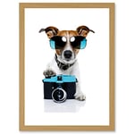 Wee Blue Coo Funny Photo Jack Russell Dog Shades Camera Artwork Framed Wall Art Print A4