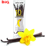 Native  Vanilla  Grade  B  Tahitian  Vanilla  Beans –  10  Total  Premium  Extra