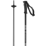 Salomon Arctic Unisex Poles Ski Hiking 120cm