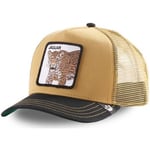 Casquette Goorin Bros  Casquette Homme MicroCoton JAGUAR Or