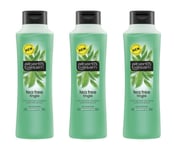 Alberto Balsam Shampoo Tea Tree Tingle 360ml