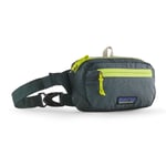 Patagonia Ultralight Black Hole Mini Hip Pack - Sac banane Nouveau Green 1 L