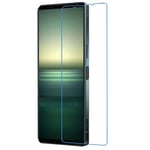 Sony Xperia 1 IV         Flat Plastic Clear