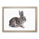 Big Box Art Brown Bunny Rabbit in Abstract Framed Wall Art Picture Print Ready to Hang, Oak A2 (62 x 45 cm)