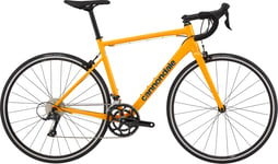 Cannondale Cannondale CAAD Optimo 3 | Mango | Landsvägscykel