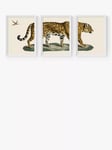 EAST END PRINTS Natural History Museum 'Jaguar' Framed Print, Set of 3